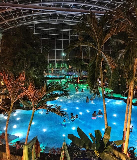 Bucharest: Therme Spa Night Experience with Transfer - What Palm gives you in three hours