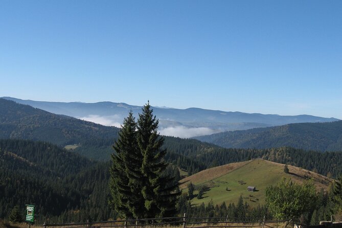 Bucovina Painted Monasteries Day Tour - What the Guide Adds to the Day