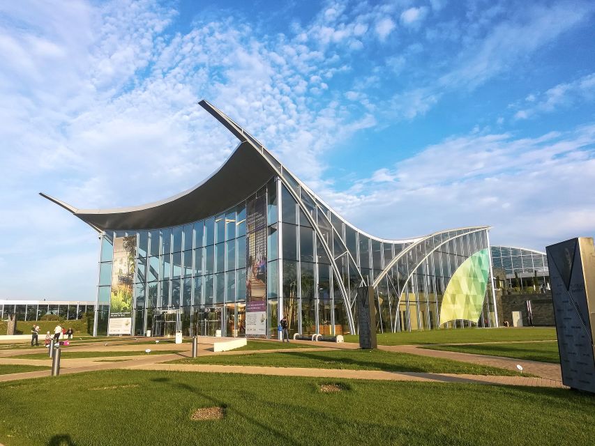Bucuresti: Therme Bucharest Evening Entry Ticket & Transfer - Palm area: tropical calm with adult-only access