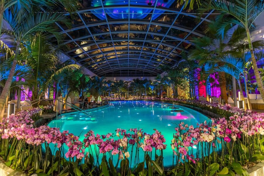 Bucuresti: Therme Bucharest Evening Entry Ticket & Transfer - Who will get the most from this outing?