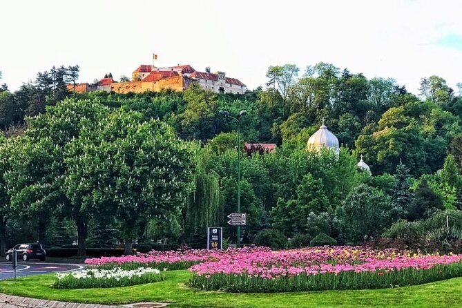 BV01 - City Tour Brasov in English: Secrets of Kronstadt - Piata Sfatului, the city’s main gathering place