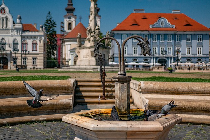 Capture the most Photogenic Spots of Timișoara with a Local - Starting in Union Square Among Timișoara’s Baroque Facades