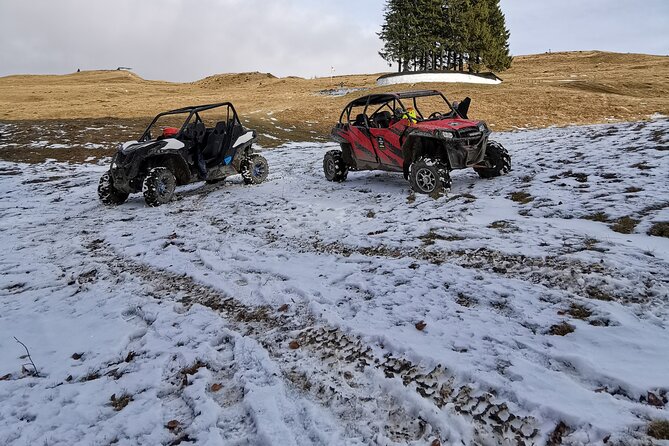 Carpathian mountains Snowmobile, ATV or Buggy tour in one day - How much value do you get for $403.34?