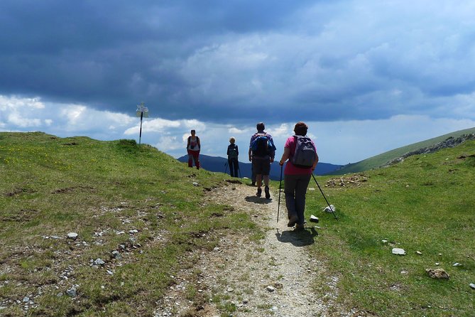 Carpathians in Romania: Bucegi Natural Park with native Spanish guide. - Why this Bucegi route feels different
