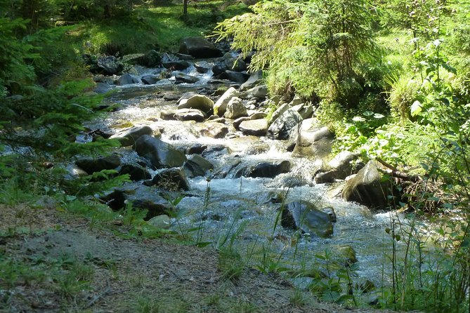 Carpathians in Romania: Bucegi Natural Park with native Spanish guide. - Vârful Bucșa and the return to Moeciu de Sus