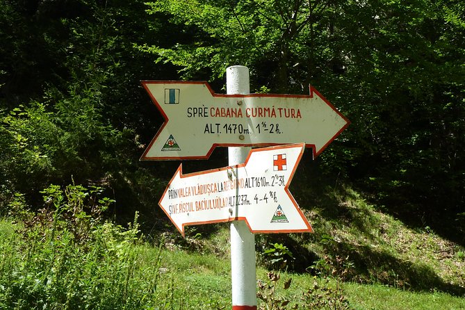 Carpathians in Romania: Piatra Craiului National Park with native Spanish guide. - The private format and group value