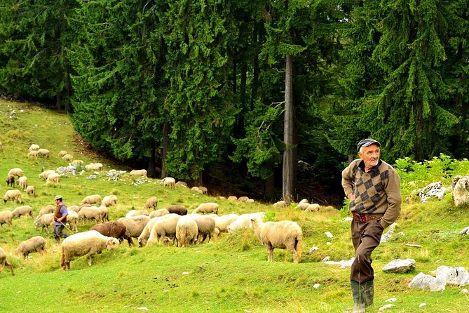 Carpathians in Romania: Piatra Craiului National Park with native Spanish guide. - What to bring for a safe, enjoyable hike
