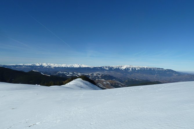 Carpathians in Romania: Piatra Craiului National Park with native Spanish guide. - How hard is the seven-hour day?