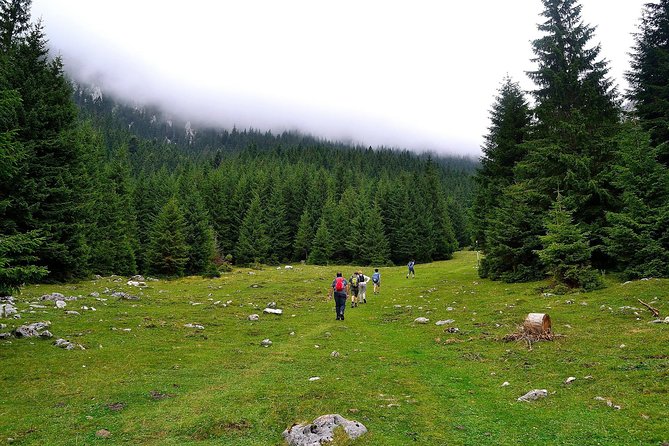 Carpathians in Romania: Piatra Craiului National Park with native Spanish guide. - Through the Gorges of Zarnesti