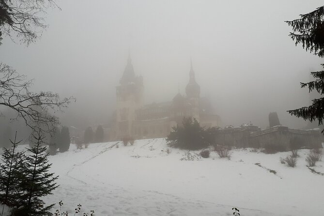 Castles Private Tour Peles - Bran - Rasnov from Brasov - Bran Castle is worth seeing, with the right expectations