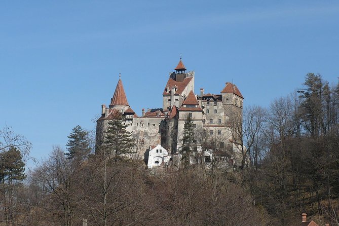 Castles Private Tour Peles - Bran - Rasnov from Brasov - Florin is a major part of the value