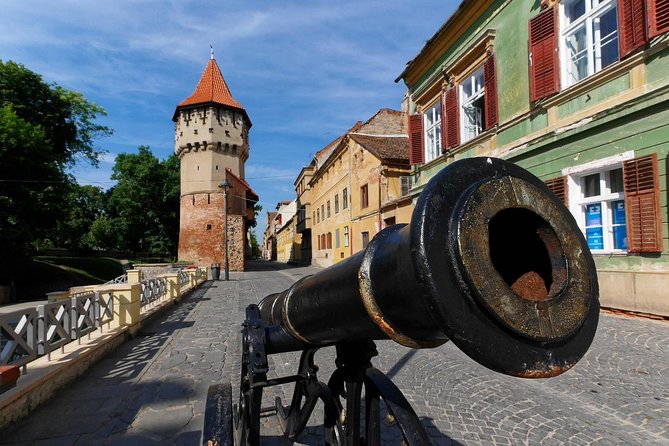 City Tour Sibiu in English - Key points to know before you book