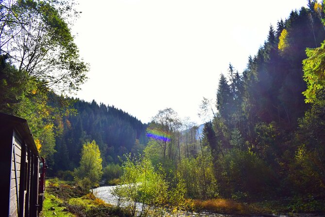 CJ03 - Day trip to Maramures Mocanita Train from Cluj Napoca - Who should book this experience?