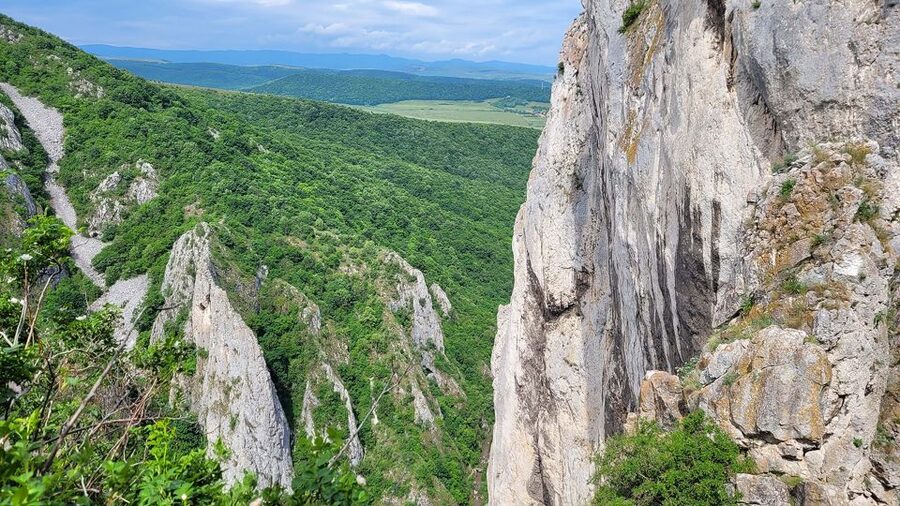 Cluj Napoca: Climbing or Hiking Experience in Turda Canion - The two-hour via ferrata is the main event