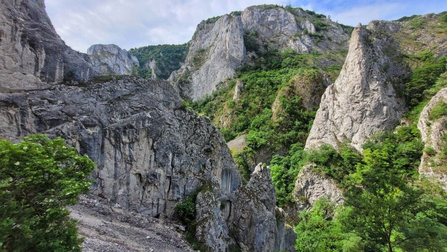 Cluj Napoca: Climbing or Hiking Experience in Turda Canion - The first 20 minutes set the tone