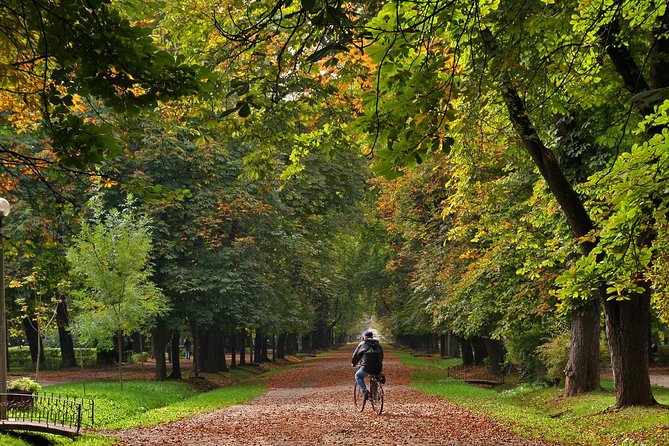 Cluj-Napoca Walking City Tour - Why this Cluj-Napoca walk is worth your time