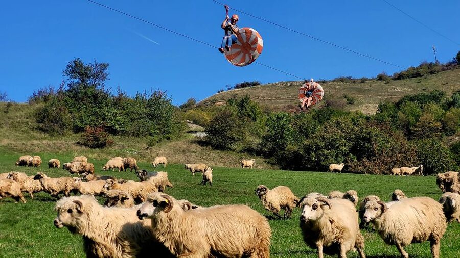 Cluj: Outdoor Activities Day Trip with Zip Line and Hike - Who will enjoy this day most?