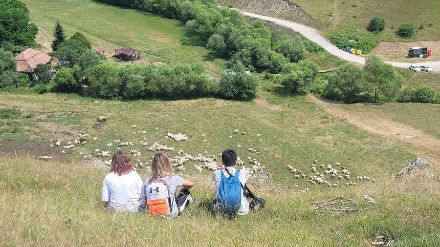 Cluj: Outdoor Activities Day Trip with Zip Line and Hike - Practical booking advice for a smooth day