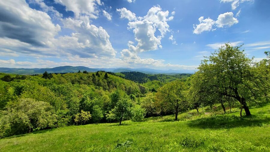 Cluj to Rosia: Day Trip to Ferrata and pittoresque country - Choosing between hiking, Via Ferrata, and Farcu Cave