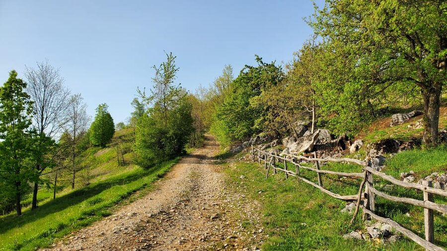 Cluj to Rosia: Day Trip to Ferrata and pittoresque country - Is $116 per person good value?