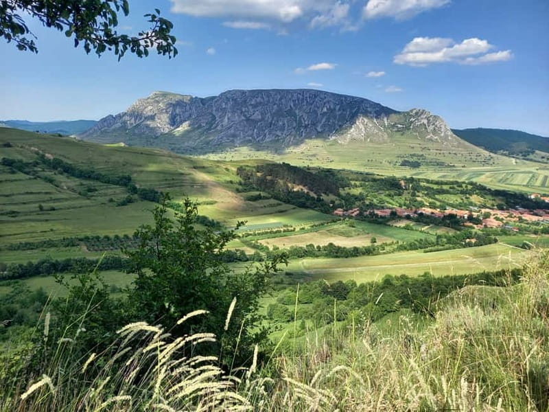 Cluj: Turda Salt Mines, Rimetea, and Coltesti Fortress Tour - Final verdict: a strong one-day introduction