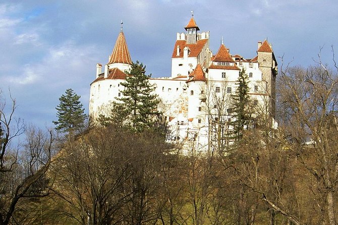 Cultural Day Trip to Transylvania including Peles Castle & Bran Dracula's Castle - Key points to know before booking