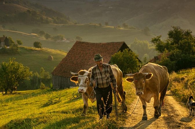 Cycling in Transylvania: Vulcan, Holbav, Cristian. - The high plateau and Măgura Codlei views