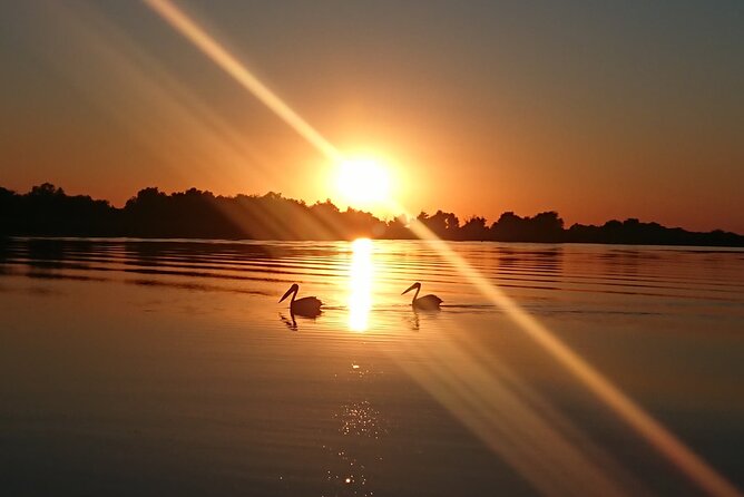 Daily Tours in the Danube Delta - Camely Cruise - Wildlife Watching Without a Forced Schedule