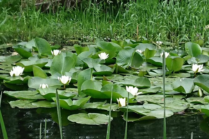 Daily Tours in the Danube Delta - Camely Cruise - Who Will Enjoy This Boat Ride Most