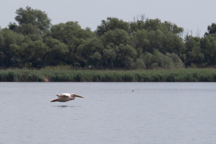 Danube Delta - 2-Day Tour from Bucharest - Who should book this trip