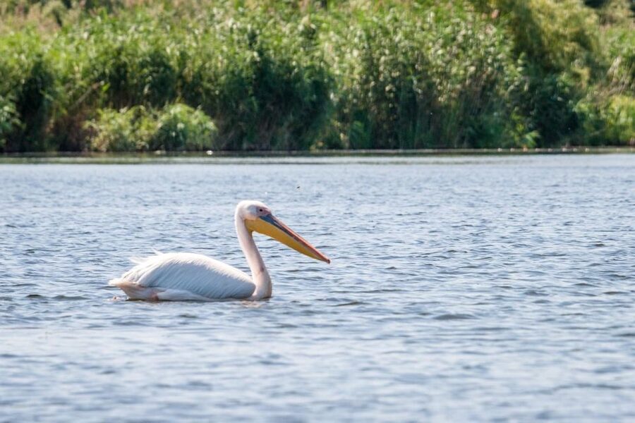 Danube Delta - 2-Day Tour from Bucharest - Why this two-day route works