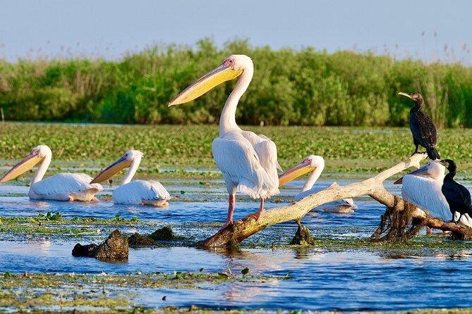 Danube Delta and Black See - 2 Days Private Tour from Bucharest - Why this two-day route is different
