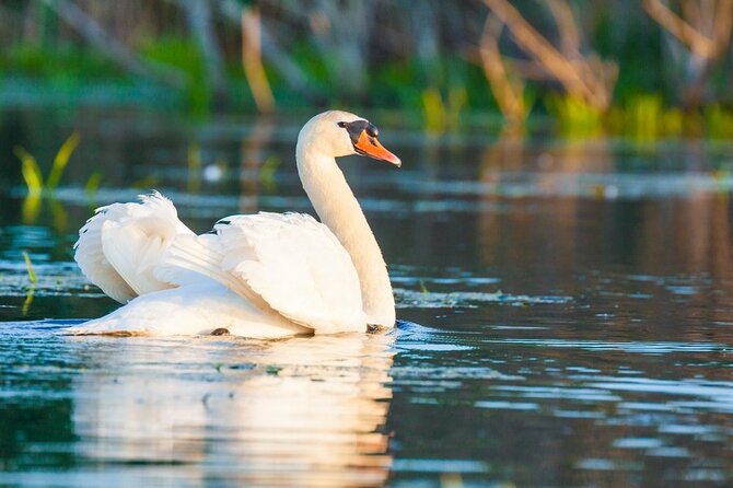 Danube Delta and Black See - 2 Days Private Tour from Bucharest - Mila 23 and a local lunch