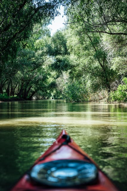 Danube Delta: Boat Tour Through the Water Lily Reserve - Why the UNESCO setting matters
