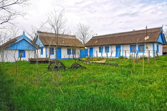 Danube Delta PRIVATE boat trip to Letea Forest (guided tour) - Letea village, where the clock seems slow