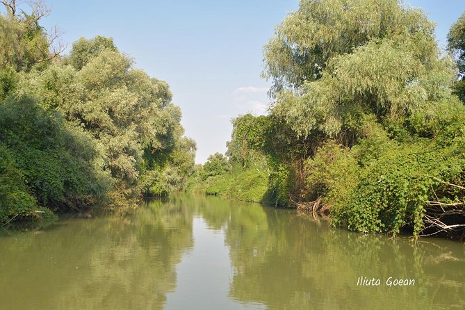 Danube Delta PRIVATE boat trip to Mila23 Village (guided tour) - Why This Danube Delta Boat Trip Works