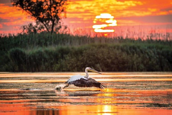 Danube Delta Private Tour from Bucharest - 2 Days tour - Starting in Tulcea with the Delta museum