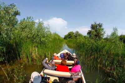 Danube Delta – Private Tour with Boat Trip & Traditional Lunch