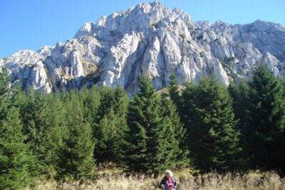 Day Hike in Carpathian Mountains for all levels in five areas