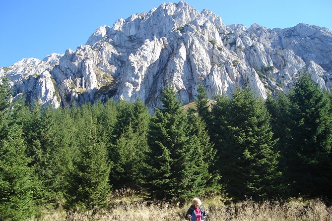 Day Hike in Carpathian Mountains for all levels in five areas - What the five-hour hike feels like