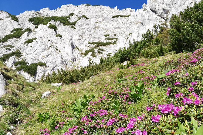 Day Hike PRIVATE - Piatra Craiului National Park - The five-hour walk and its changing scenery