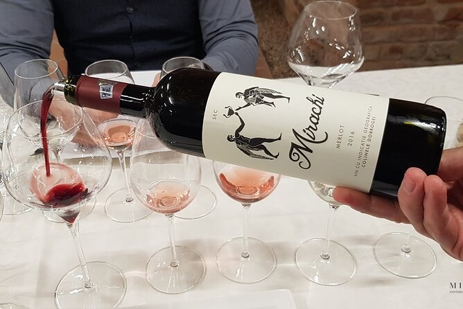 Day Tour: Visit Histria Winery and Ancient Citadel - Key points at a glance