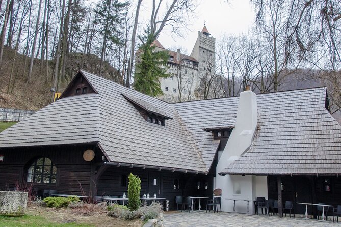 Day Trip Bear Sanctuary, Bran Castle, Rasnov Fortress from Brasov - Libearty Bear Sanctuary: the day’s most meaningful stop