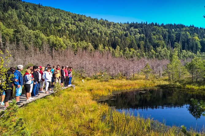 Day Trip & Bear Watching in the Land of Volcanoes - St. Anna Lake and the shape of an old volcano