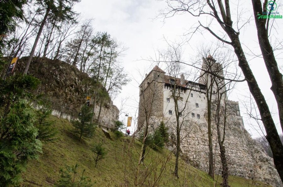 Day trip Bran Castle, Rasnov Fortress and Bear Sanctuary - Key points to know before booking
