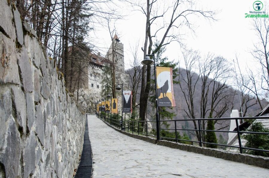 Day trip Bran Castle, Rasnov Fortress and Bear Sanctuary - Why this three-stop route works