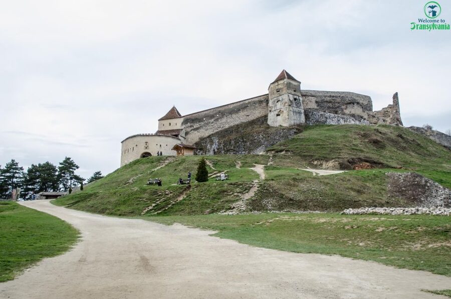 Day trip Bran Castle, Rasnov Fortress and Bear Sanctuary - What guide Alin adds to the day