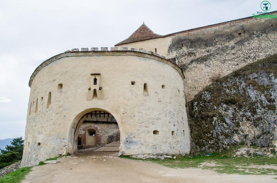 Day trip Bran Castle, Rasnov Fortress and Bear Sanctuary - Who will enjoy this tour most
