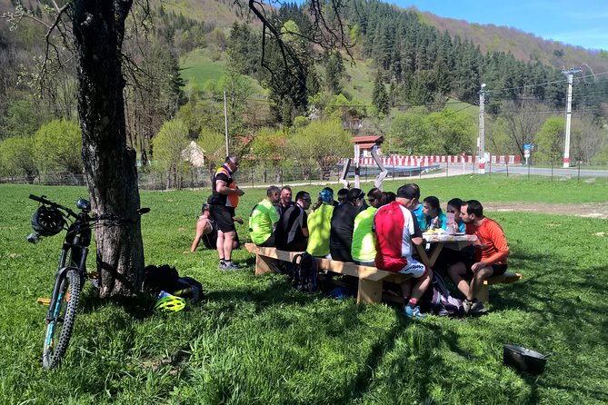 Day trip from Brasov: Bison reserve & traditional lunch - A Romanian meal in a local home