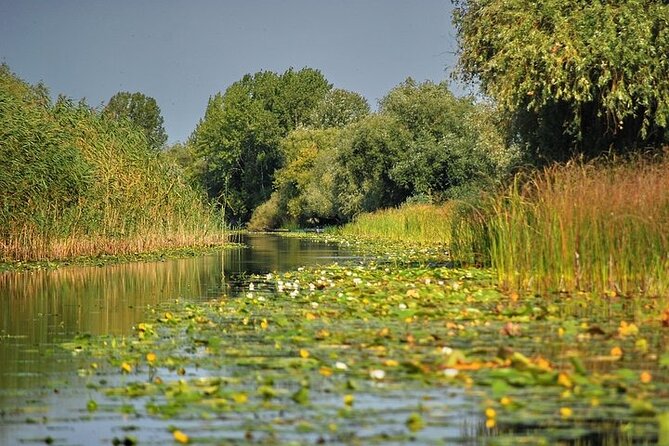 Day Trip from Bucharest to Danube Delta - Why the pelicans matter